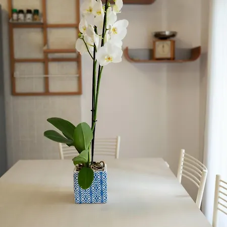 B&bsciccheri Pensjonat Castellammare di Stabia